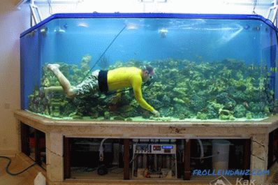 Hogyan készítsünk egy akváriumot saját kezével