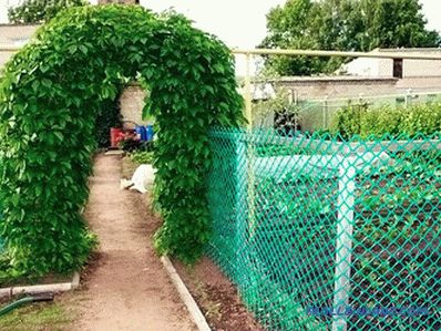 Hogyan válasszuk ki a kerti hálót a kerítéshez