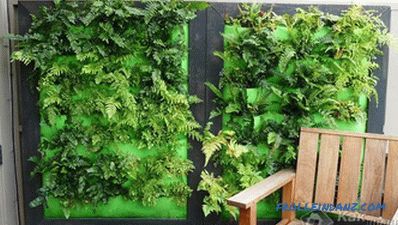 Hogyan készítsünk függőleges kertet - függőleges kert létrehozása (+ fotók)